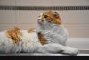 DSC_4509.thumb.JPG.d4beef302efa85f8c707268bb2cd515a.JPG