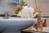 DSC_4514.thumb.JPG.699f255a90050b0fbca967e9e99c118c.JPG