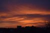DSC_4519.thumb.JPG.e8c7164ce574d906e638959ba099487e.JPG