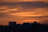 DSC_4522.thumb.JPG.4a3c1183de5b66d271aba639a87744b0.JPG