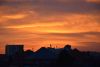DSC_4524.thumb.JPG.63872d4e2fcf2c1dbfe310a432481299.JPG