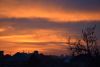 DSC_4525.thumb.JPG.58a04e04408700a65ec461c9345970c4.JPG