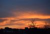 DSC_4526.thumb.JPG.6c0adaa0b6b77243bd9f9b0ad51b9dd4.JPG