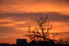 DSC_4528.thumb.JPG.7df6ce57bbfe5b8aff3613fea9a3c891.JPG