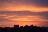 DSC_4530.thumb.JPG.f888327755663f41394199b04d7d22d9.JPG