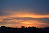 DSC_4531.thumb.JPG.e278da03b9224fcccd84e97bf59bec1d.JPG