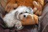 DSC_4544.thumb.JPG.99a7676e44f3f969110be1a181a786b8.JPG
