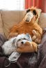 DSC_4547.thumb.JPG.bb660b211ebbfd0c7b1c7fc9b0aee3fb.JPG