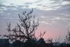 DSC_4548.thumb.JPG.efcc893f9f2cf9d4b51acfc7856edf8a.JPG
