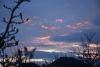 DSC_4573.thumb.JPG.eab5b06cf301b5c5393db715db380b07.JPG