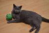 DSC_4588.thumb.JPG.8e9c4ba716eeb2fa124d3bc017e9ad95.JPG