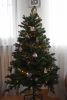 DSC_4649.thumb.JPG.ef253363fe35842e113dcbed6ee5ee4f.JPG