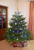 DSC_4671.thumb.JPG.9e93a39cfe0aef2290f0ffb3a51fd87f.JPG