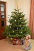 DSC_4679.thumb.JPG.c75041c7849d2df49cf094422e50bf1f.JPG