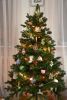 DSC_4766.thumb.JPG.2eb7ea93c28de6dee654b8fa656b0dcf.JPG