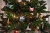 DSC_4769.thumb.JPG.7473fbd16a71a349c42aa612451a886d.JPG