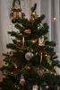 DSC_4771.thumb.JPG.9dbaea4ee31b4a30c6cb6eadaf534182.JPG