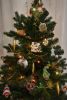 DSC_4772.thumb.JPG.f8d854b9dd731d6a1ef813c5ce971153.JPG