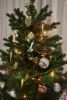 DSC_4773.thumb.JPG.c5fe61c20a8c8836dc48889d7f01d343.JPG