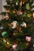 DSC_4782.thumb.JPG.cd0c755843c5a0b4dd5267dc53c0412c.JPG