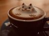IMG-20190915-WA0045.thumb.jpg.8c746b85433fd67d6bd632a9096e499a.jpg