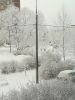 IMG-20211214-WA0003.thumb.jpg.4c10796739297607f31dca19c842a929.jpg