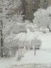 IMG-20211214-WA0004.thumb.jpg.1298b3c7dbc943dd65bb2a516a5388ef.jpg