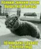 IMG-20211227-WA0014.thumb.jpg.805452be9b1bb615eeea0a4a194948ef.jpg