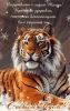 IMG-20211231-WA0000.thumb.jpg.69bd62af6bd61af94c5dbf445e939f79.jpg