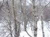 IMG_0590.thumb.jpg.68ac0bd8f0d2873c4bfa4b7471921696.jpg