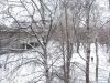 IMG_0593.thumb.jpg.677b7755bbe6f07748cf05270d5cc144.jpg