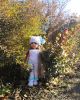 IMG_20211118_084218_148.thumb.jpg.43cd89790fea736b514a65705b543338.jpg