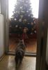 IMG_20211128_144115.thumb.jpg.72f9ebe7b3336ce0e1b6662a53759d74.jpg
