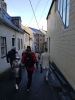IMG_20211204_135149.thumb.jpg.38cc43b355937b17e234ea4e5c121a81.jpg
