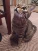 IMG_20211210_074335.thumb.jpg.739bd621f0011e45149697995f6e69e3.jpg