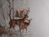 IMG_20211212_010436.thumb.jpg.c101ea5e90ee4d37d2012e8222cb9d6f.jpg