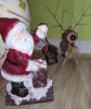 IMG_20211216_190453.thumb.jpg.68c753187985da79b35d5f9f68a4deac.jpg