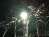 IMG_20211219_192222.thumb.jpg.dcd90387e9c7915deea8492f25ff1e37.jpg