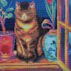 IMG_20211220_093520.thumb.jpg.00c036f1c3fed6ef5bdab5ffd47d1584.jpg
