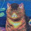 IMG_20211220_093542.thumb.jpg.6b785831d206451d35f2798d752c4f4d.jpg