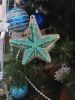 IMG_20211220_125658.thumb.jpg.41a8369f53220eecfcd06c4d578a1f2b.jpg