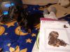 IMG_20211221_210045_038.thumb.jpg.9199abb5238727370a4f954b910cdc20.jpg