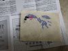 IMG_20211223_174034.thumb.jpg.fb02783cb8acd5427f53d0b39521ad80.jpg