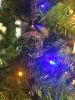 IMG_20211231_010727.thumb.jpg.ff53e7e048b3e850690fdefc9851f68d.jpg