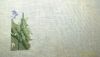 P_20210430_234829_1_p.thumb.jpg.150740d4853f3750d99b7fe3f4f014dc.jpg