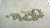 P_20211207_000503_1_p.thumb.jpg.b9db55dcad1e1dfee5c6441b579d7d55.jpg