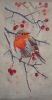 Robin3.JPG.4b04b1a273855c1c1af148ab50c9d897.thumb.jpg.04a635ef5b84b8c19f2ee8794cc10c3a.jpg