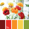 image.thumb.png.37592d7896600316d559e566ecfc47e7.png
