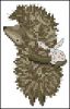 unnamed.thumb.jpg.f209ecb78fbbbda1e78651cebcf5ea73.jpg