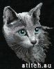 03C4DFFD-FE5F-4F25-8CF3-9FB251090E63.thumb.jpeg.e5492846791a25bd8a404e882aac8ad1.jpeg